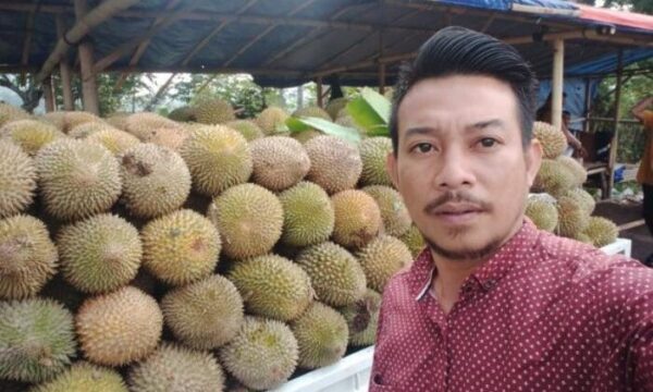 Pengusaha Durian Tampan di Kota Bandar Lampung