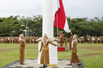 Bupati Pesawaran Harapkan Peningkatan Iklim Investasi di Kabupaten Pesawaran
