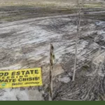 Kritikan Walhi untuk Food Estate Jokowi yang Dinilai Jadi Proyek Gagal
