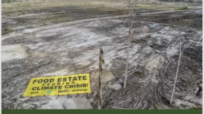 Kritikan Walhi untuk Food Estate Jokowi yang Dinilai Jadi Proyek Gagal
