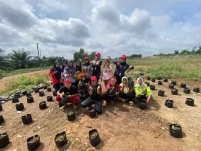 Manfaatkan Lahan Kosong, Mahasiswa KKN Unila Tanam 700 Bibit Cabai dan Terong