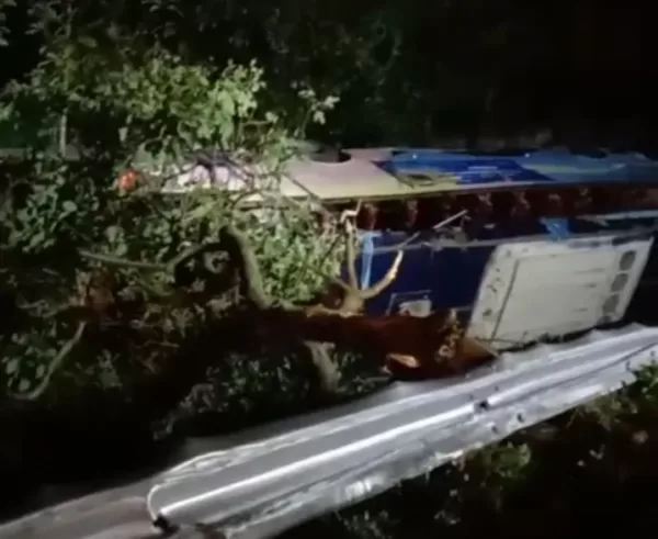 Bus Blue Star Terguling ke Luar Bahu Jalan Tol Cipali: 1 Orang Tewas, 8 Terluka