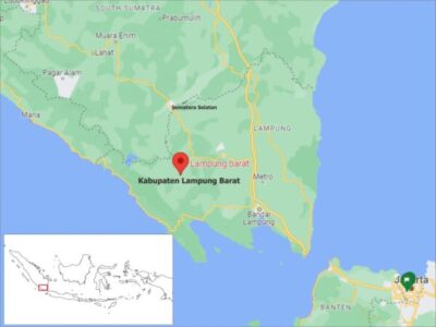 Pengumuman Pembukaan Seleksi Calon Anggota Komisaris dan Direksi BUMD Kabupaten Lampung Barat 2024