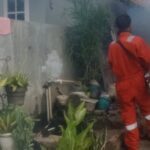 Respon Cepat Keluhan Masyarakat, Iqbal Ardiansyah Terjunkan Tim Fogging Gratis