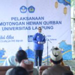 Unila Adakan Kurban 32 Sapi dan 17 Kambing