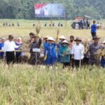 Mentan dan Wakasal Bersama Pj. Gubernur Lampung Panen Raya Padi dan Jagung di Pantai Caligi, Pesawaran