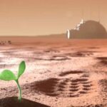 Peneliti Temukan Tumbuhan yang Bisa Bertahan Hidup di Planet Mars