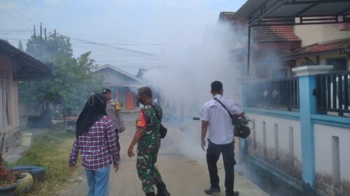 Cegah DBD, Babinsa Pakuan Baru Gelar Fogging Bersama Warga