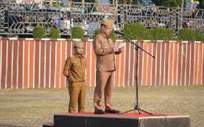 Pemerintah Provinsi Lampung Dorong Pemanfaatan E-Purchasing