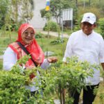Pj. Gubernur Samsudin Ajak Masyarakat Ramaikan Wisata Edukasi Kebun PKK Agropark Sabah Balau Lampung Selatan