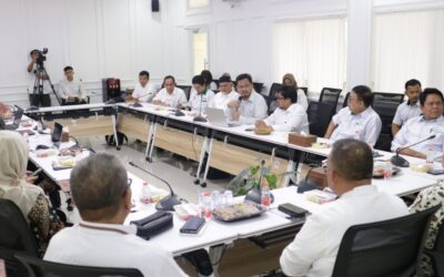 FMIPA Gelar Webinar Leadership Recharging Kepemimpinan WCU Wujudkan Universitas Berkelas Dunia