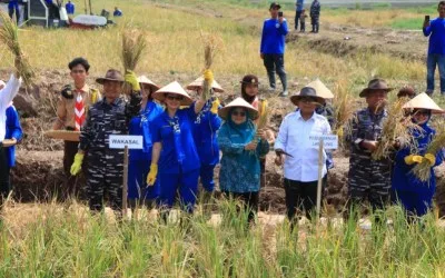 Pemkab Lambar Bersama Kementerian Pertanian Lakukan Panen Raya Padi di Kecamatan Bandar Negeri Suoh