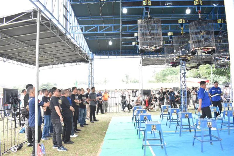 Danrem 043/Gatam Buka Lomba Burung Kicau Dalam Rangka Memperingati HUT Ke-79 TNI