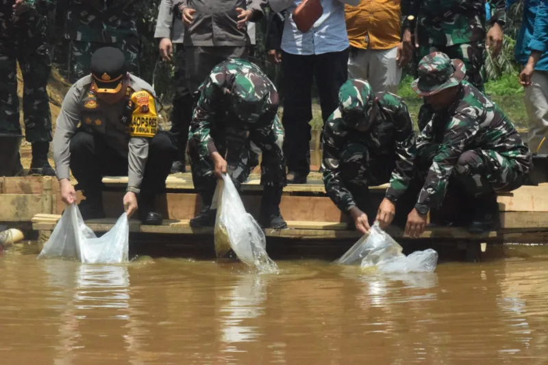 Danrem 042/Gapu Brigjen TNI Rachmad  Lepaskan Bibit Ikan Nila di Lokasi Hanpangan TMMD ke 122 Kodim 0420/Sarko