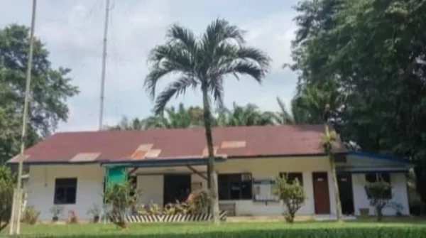 Nestapa Masyarakat Di Sekitar PT TML, Demi Bertahan Hidup Di Kriminalisasi Karena Memetik  Brondol