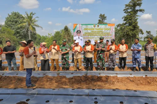 Pj. Gubernur Samsudin Tanam Cabai di Lampung Timur