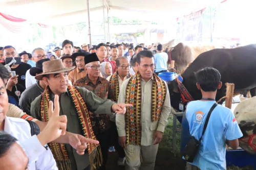 Kontes dan Expo Sapi APPSI 2024, Pj. Gubernur Lampung Dukung Wujudkan Ketahanan Pangan Nasional