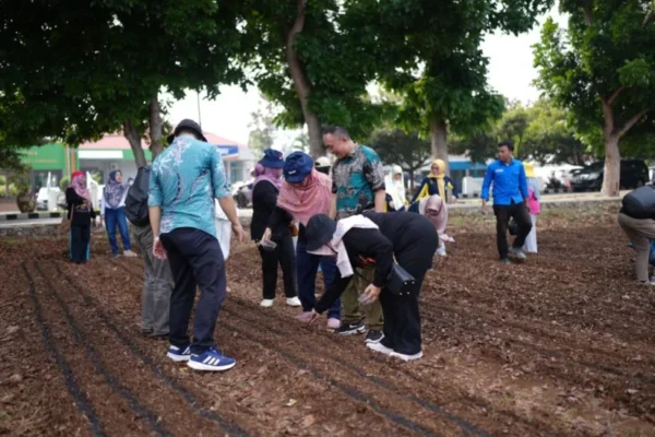 DWP Gelar Lomba Menanam Sayuran, Wujudkan Ketahanan Pangan Berkelanjutan