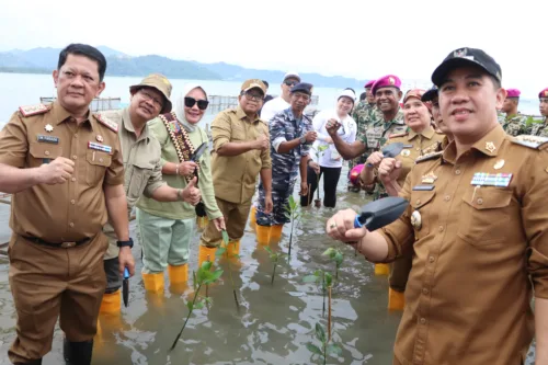 Pj Gubernur Lampung Tanam  Mangrove Bersama Brigif 4 Marinir dan Mitra dalam Peringatan HUT ke-79 Korps Marinir