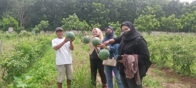 Berwisata dan Menikmati Buah Semangka di Areal Kampus ITERA: Edukasi Pertanian Berbasis Inovasi dan Ketahanan Pangan