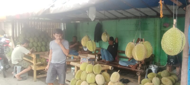 Lapak Durian Haji Seeng Batu Putuk Kembali Dipadati Pelanggan