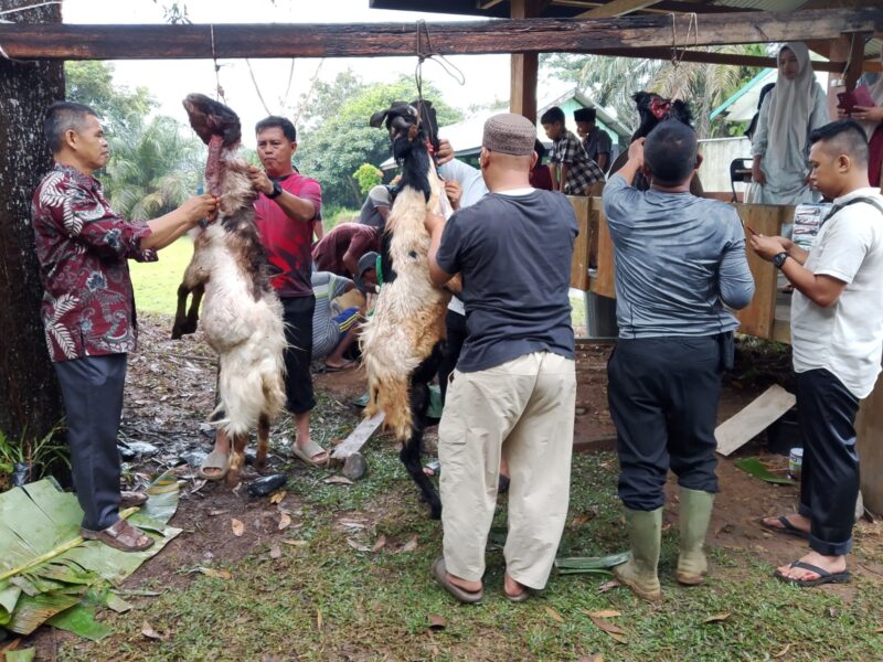 Meriahnya Idul Adha 1446 H Bersama Masyarakat dan Keluarga Besar Kodim 0420