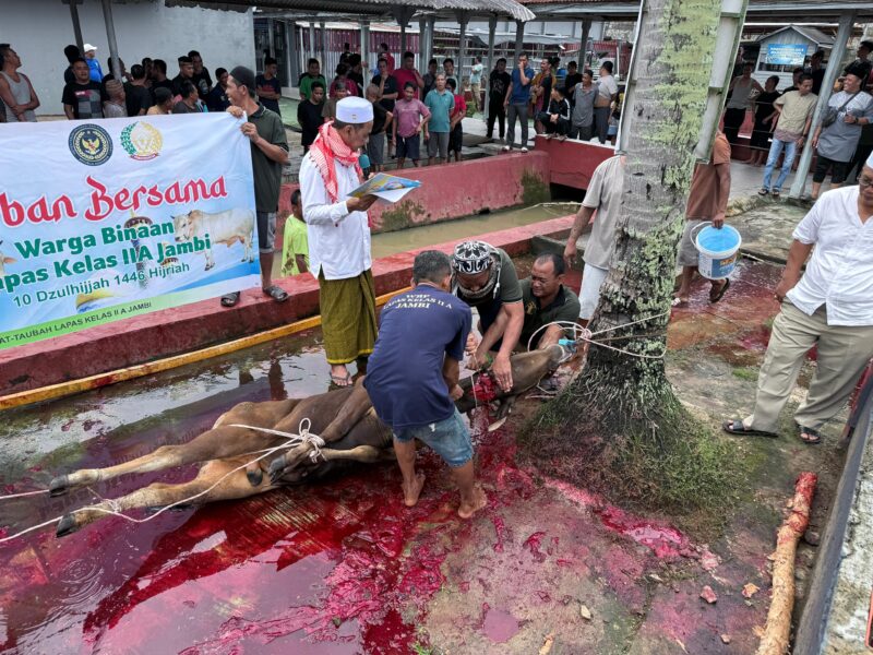 Peringatan Idul Adha 1446 H, Lapas Kelas IIA Jambi Kurbankan 9 Sapi dan 3 Kambing, Daging Dibagikan kepada Masyarakat dan Pihak Terkait
