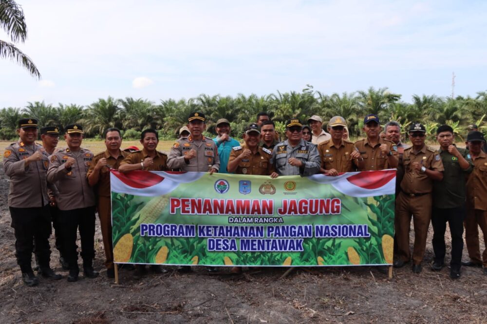 Kapolres Merangin Buka langsung Program Ketahanan Pangan Nasional Penanaman Jagung di Desa Mentawak