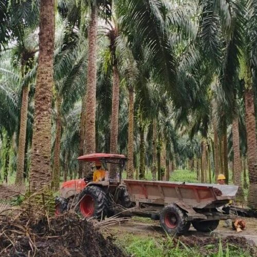 Mahasiswa Teknik Elektro Unila Lolos Pendanaan Riset BPDP 2025 dengan Inovasi Aplikasi Sawit