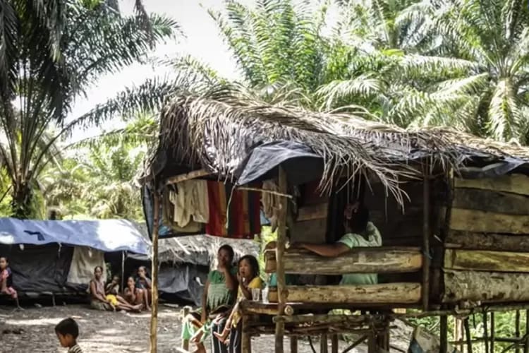 Enam Jam Disekap dan Dipukuli, Pengacara SAD Klaim Jadi Korban Teror di Merangin