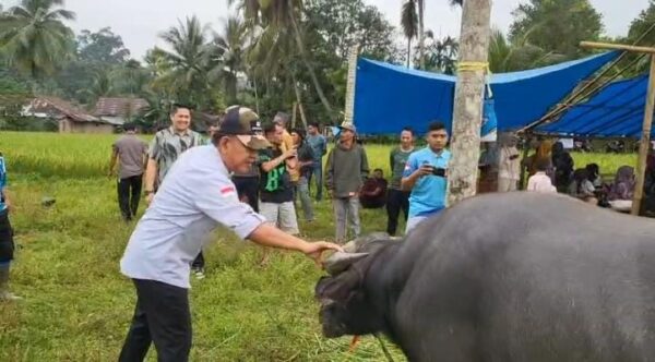 Buka Bantaian Adat di Desa Bukit Batu, Wabup A. Khafidh Bangga Tradisi Tetap Terjaga