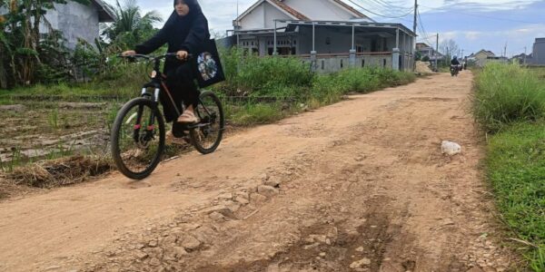 Potret Satu Tahun kepemimpinan Bambang–Rafieq di Kota Metro