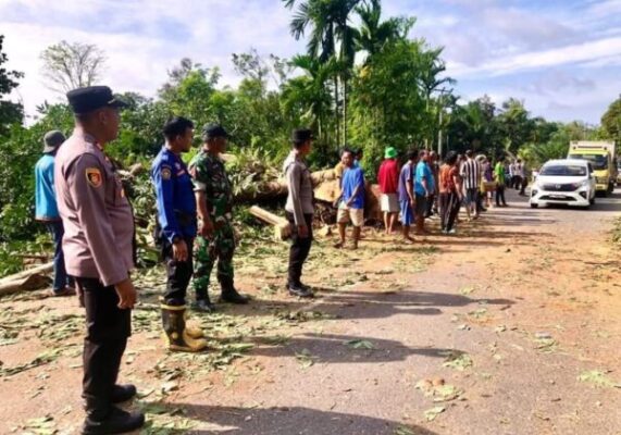 Akses Jalan Terhalang Pohon Besar Tumbang, Babinsa dan Polri Sigap Buka Akses Lintas Jambi–Sarolangun
