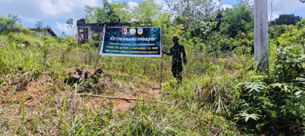 Satgas TMMD ke 128 Kodim 0420/Sarko Siapkan Lahan Ketahanan Pangan Bagi Warga Desa Seko Besar 