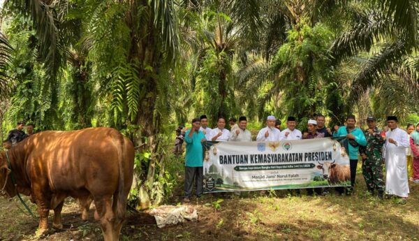 Wabup A. Khafidh Serahkan Sapi Kurban Bantuan Presiden di Empang Benao