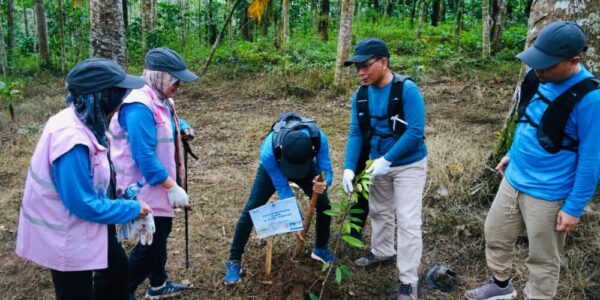 PLN UID Lampung Tanam Pohon di Hari Lingkungan Hidup Sedunia 2026, Perkuat Komitmen ESG dan Aksi Iklim
